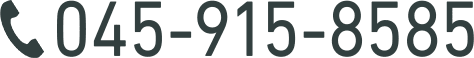 045-915-8585